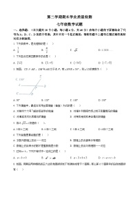 七年级数学暑假作业