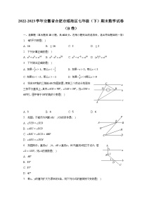 2022-2023学年安徽省合肥市瑶海区七年级（下）期末数学试卷（B卷）（含解析）