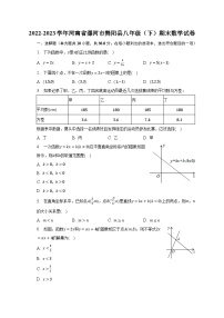 2022-2023学年河南省漯河市舞阳县八年级（下）期末数学试卷（含解析）