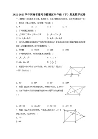 2022-2023学年河南省漯河市郾城区八年级（下）期末数学试卷（含解析）