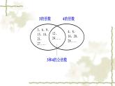 1.6公倍数与最小公倍数-沪教版（上海）六年级数学第一学期课件