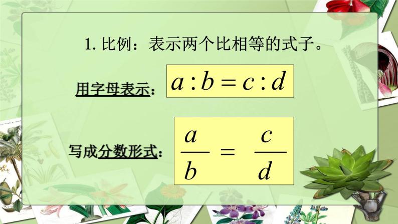 3.3比例-沪教版（上海）六年级数学第一学期课件05