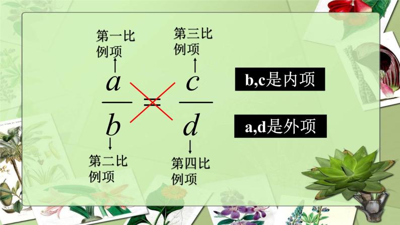 3.3比例-沪教版（上海）六年级数学第一学期课件07