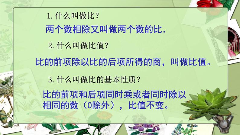 3.3比例-沪教版（上海）六年级数学第一学期课件08