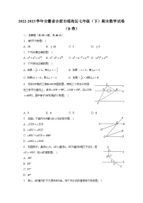 安徽省合肥市瑶海区2022-2023学年七年级下学期期末数学试卷（B卷）（含答案）