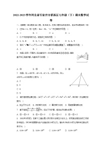 河北省石家庄市桥西区2022-2023学年七年级下学期期末数学试卷（含答案）