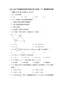 湖北省武汉市洪山区2022-2023学年七年级下学期期末数学试卷（含答案）