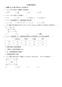 八年级数学暑假作业