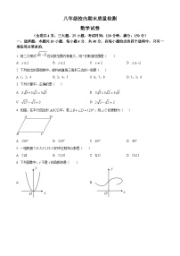 八年级下学期期末数学试题