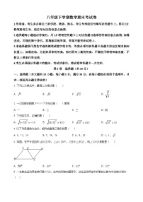 八年级下学期期末数学试题