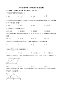 八年级下学期期末数学试题 (4)