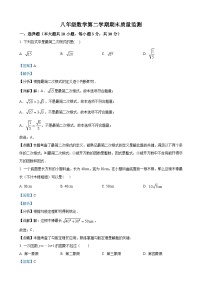 八年级下学期期末数学试题（解析版） (3)