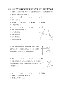 2022-2023学年江西省宜春市高安市七年级（下）期中数学试卷