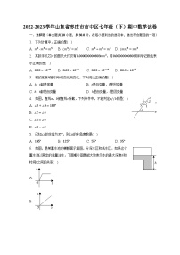 山东省枣庄市市中区2022-2023学年七年级下学期期中数学试卷