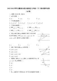 2022-2023学年安徽省合肥市瑶海区七年级（下）期末数学试卷（B卷）