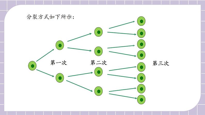 新人教版数学七上  1.5.1.1有理数的乘方 课件PPT+教案+分层练习+预习案06