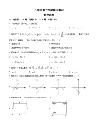 八年级下学期期末数学试题