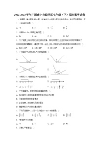 2022-2023学年广西南宁市经开区七年级（下）期末数学试卷