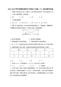 2022-2023学年河南省信阳市平桥区八年级（下）期末数学试卷