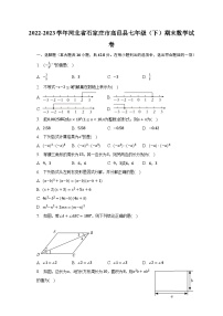 2022-2023学年河北省石家庄市高邑县七年级（下）期末数学试卷（含解析）