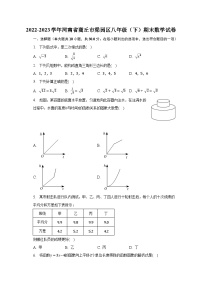 2022-2023学年河南省商丘市梁园区八年级（下）期末数学试卷（含解析）