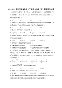 2022-2023学年河南省信阳市平桥区七年级（下）期末数学试卷（含解析）