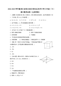 2022-2023学年黑龙江省哈尔滨市香坊区风华中学八年级（下）期中数学试卷（五四学制）（含解析）