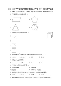 2022-2023学年山东省济南市槐荫区八年级（下）期末数学试卷（含解析）