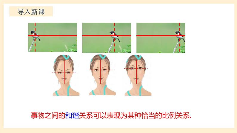 北师大版数学九年级上册4.4.4《 探索三角形相似的条件4》课件05