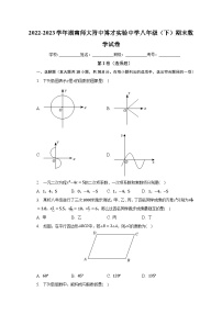 2022-2023学年湖南师大附中博才实验中学八年级（下）期末数学试卷（含解析）