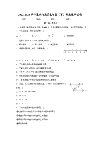 2022-2023学年重庆市忠县七年级（下）期末数学试卷（含解析）