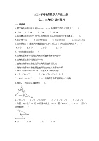 初中湘教版2.1 三角形同步训练题