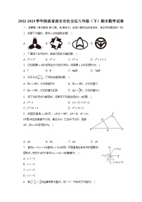 2022-2023学年陕西省西安市长安区八年级（下）期末数学试卷（含解析）