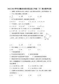 2022-2023学年安徽省合肥市四区县八年级（下）期末数学试卷（含解析）