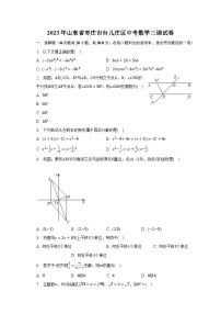 2023年山东省枣庄市台儿庄区中考数学三调试卷（含解析）