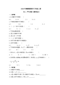 初中数学湘教版八年级上册3.1 平方根课时作业