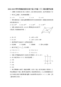 2022-2023学年河南省洛阳市洛宁县八年级（下）期末数学试卷