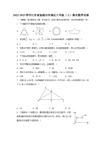 2022-2023学年江苏省盐城市亭湖区八年级（上）期末数学试卷