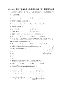 2022-2023学年广东省汕头市龙湖区八年级（下）期末数学试卷