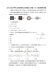 2022-2023学年山东省青岛市市南区七年级（下）期末数学试卷