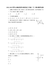 2022-2023学年云南省昆明市盘龙区八年级（下）期末数学试卷