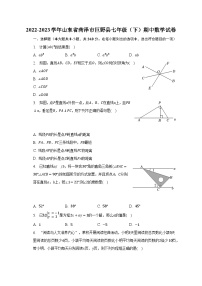 2022-2023学年山东省菏泽市巨野县七年级（下）期中数学试卷（含解析）