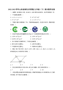 2022-2023学年山东省青岛市即墨区七年级（下）期末数学试卷（含解析）