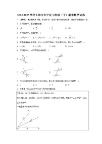 2022-2023学年上海市长宁区七年级(下)期末数学试卷(含解析)
