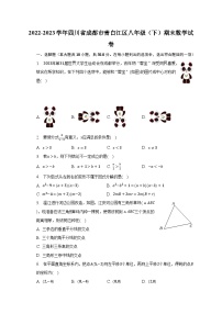 2022-2023学年四川省成都市青白江区八年级（下）期末数学试卷（含解析）