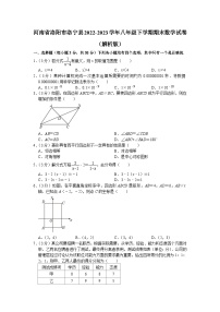 河南省洛阳市洛宁县2022-2023学年八年级下学期期末数学试卷（含答案）