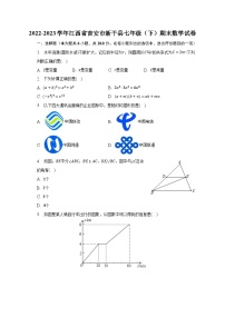 2022-2023学年江西省吉安市新干县七年级（下）期末数学试卷