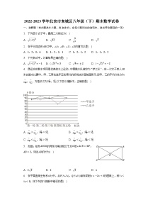 2022-2023学年北京市东城区八年级（下）期末数学试卷