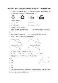 2022-2023学年辽宁省沈阳市和平区七年级（下）期末数学试卷-普通用卷