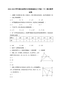 2022-2023学年湖北省武汉市东湖高新区八年级（下）期末数学试卷